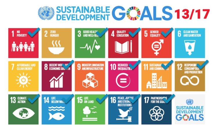 sustainable goals 13_17