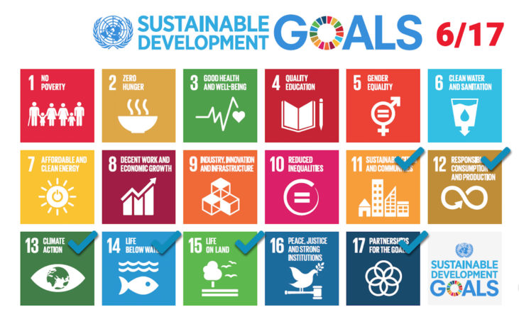 sustainable goals 6_17